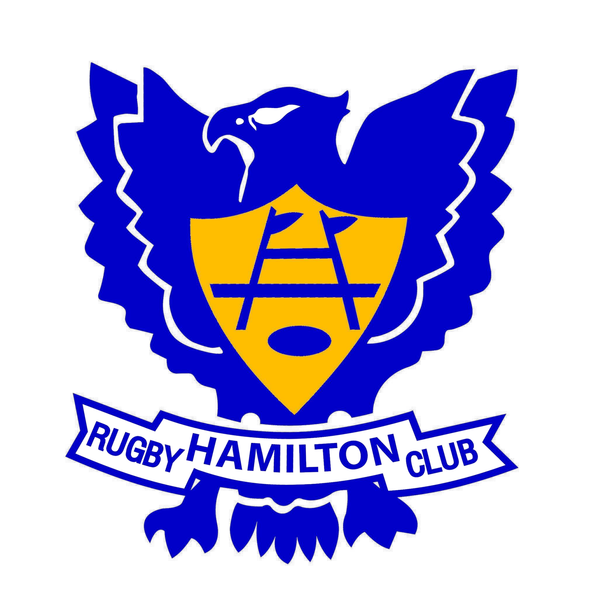 Hamilton Rugby Club Committee, Committee, Hamilton Rugby Club